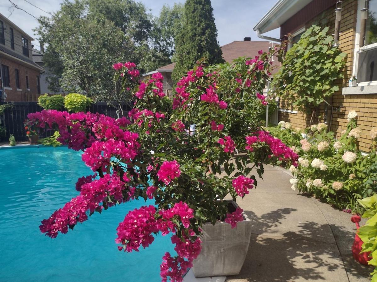 Gite Chez Baza ชาวินิแกน ภายนอก รูปภาพ